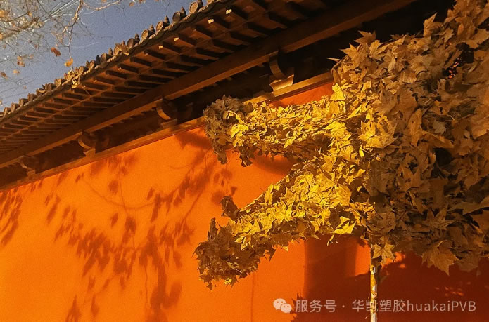 金蛇送福，元旦快樂(lè)！